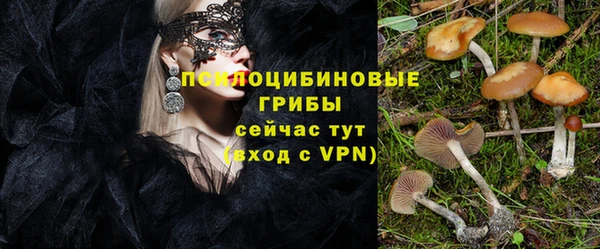 ALPHA PVP Баксан